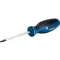 BOSCH Skrutkovač T20 X 100 mm S2