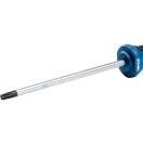 BOSCH Skrutkovač T30 X 125 mm S2