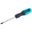 Skrutkovač PH2 x 100 mm magnetický CrV