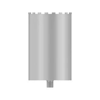   BOSCH Diamantová vrtacia korunka na mokro 300 x 450 mm Standard for Concrete 1 1/4" UNC