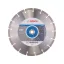 BOSCH Diamantový rezný kotúč 300 x 3,1 x 10 x 20,0/25,4 mm segmentovaný Standard pre kameň