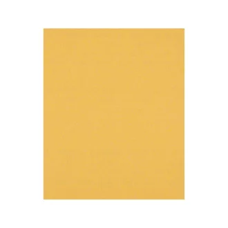   BOSCH EXPERT C470 Brúsny papier 230 x 280 mm na drevo a farby / P120