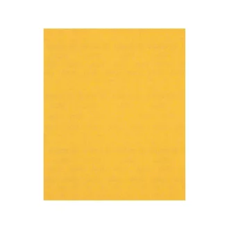   BOSCH EXPERT C470 Brúsny papier 230 x 280 mm na drevo a farby / P220