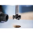 BOSCH EXPERT Forstnerov vrták 15 x 60/90 x 8 mm