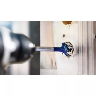   BOSCH EXPERT Plochý drevovŕtací vrták 18 x 152 mm 1/4" Hex Self Cut Speed