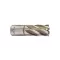 MILWAUKEE Jadrový vrták 19 x 30 mm HSS