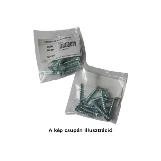 Skrutka so šesťhrannou hlavou 6x100 (10 ks)