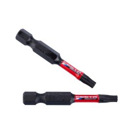 FESTA INDUSTRY Hrot bitu 50 mm T20 (2 ks) FESTA INDUSTRY Hrot bitu 50 mm T20 (2 ks)