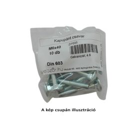 Skrutka závesu dverí DIN 603, 4,8 pozink, M8x50 (10 ks) Skrutka závesu dverí DIN 603, 4,8 pozink, M8x50 (10 ks)
